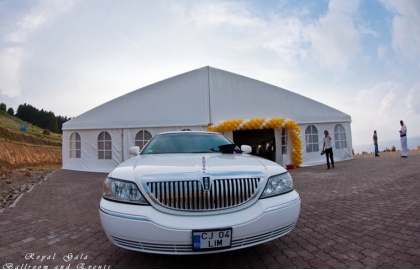 Wedding tent 20x50