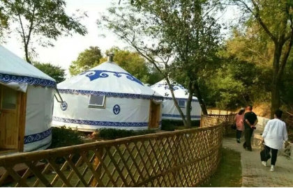 8m diameter yurt for hotel