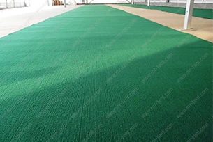 Carpet Floor