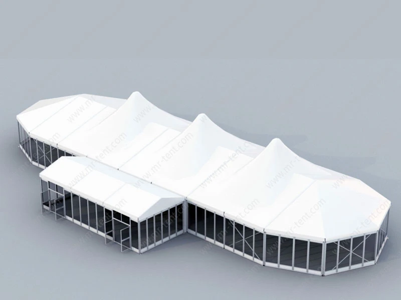 500 People Large Outdoor Permanent Conference Event Tent