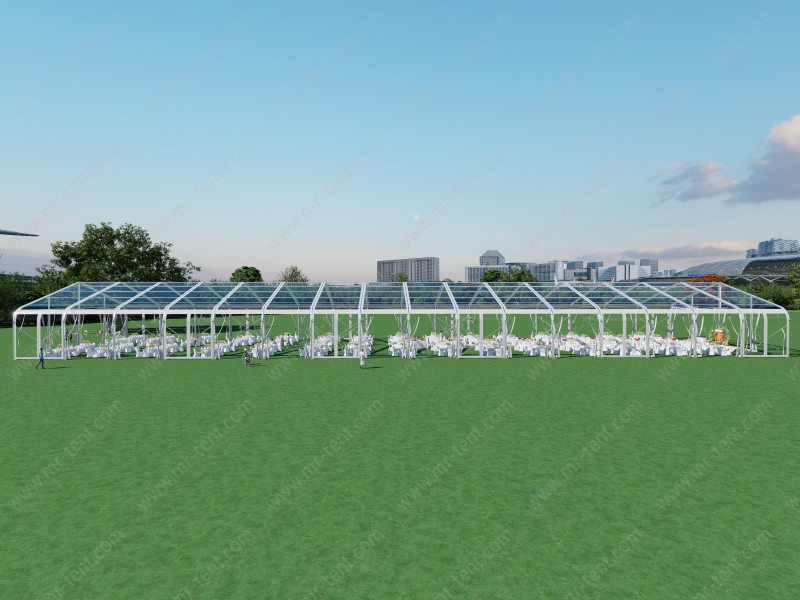 500 Seater Transparent Curve Tent for Sale